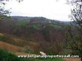 Property Description