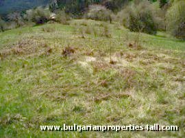 Property Description