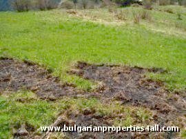 Property Description