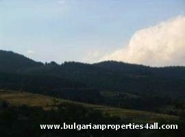 Property Description