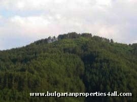 Property Description