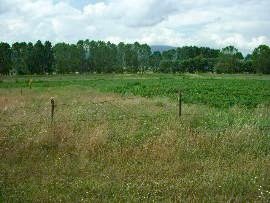 Property Description