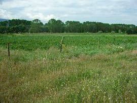 Property Description