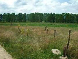 Property Description