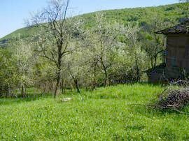 Property Description