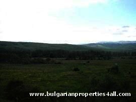 Property Description