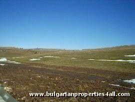 Property Description