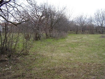 Property Description