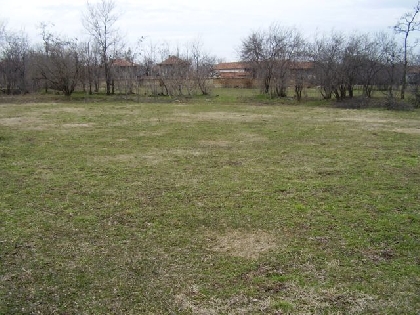 Property Description