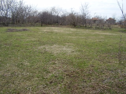 Property Description