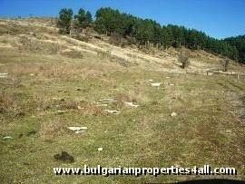 Property Description