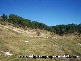 Property Description