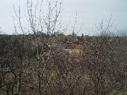 Property Description