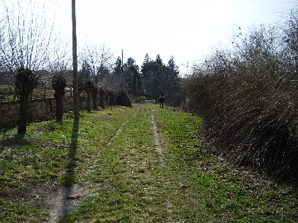 Property Description