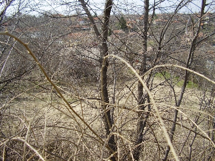Property Description
