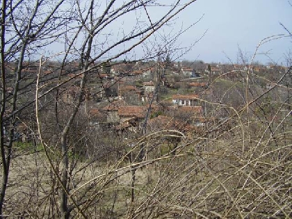 Property Description