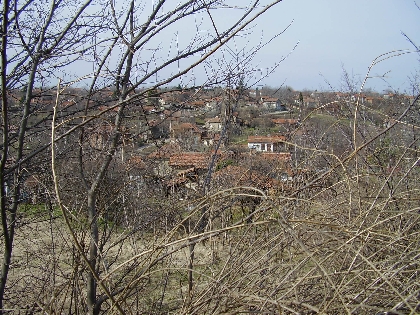 Property Description
