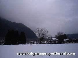 Property Description
