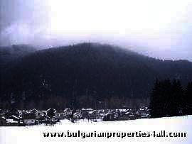 Property Description