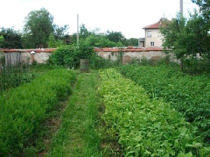 Property Description