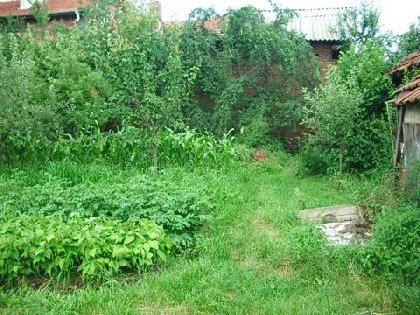 Property Description