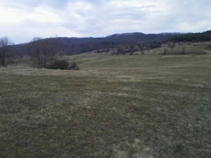 Property Description