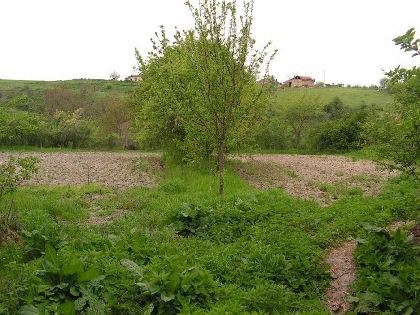 Property Description