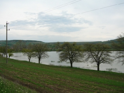 Property Description