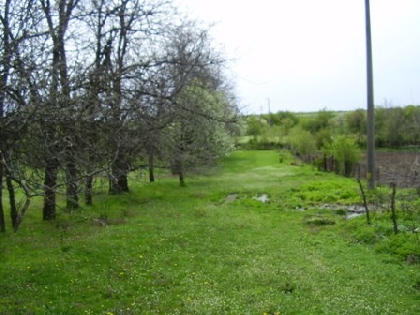 Property Description