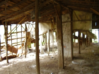 Property Description