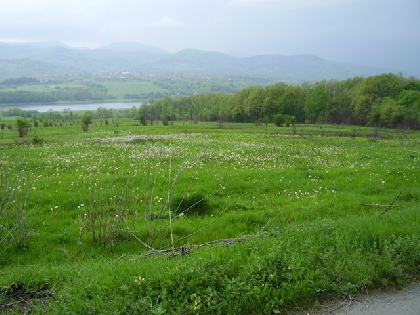 Property Description
