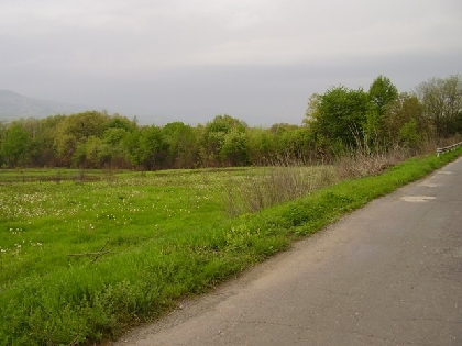 Property Description
