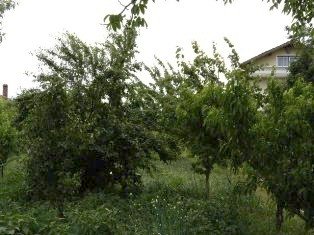 Property Description