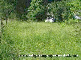 Property Description