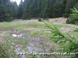 Property Description
