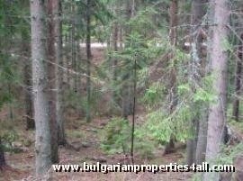 Property Description