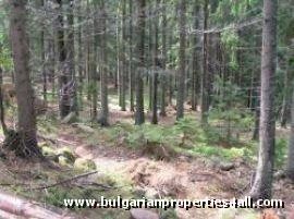 Property Description