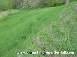 Property Description