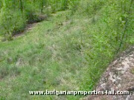 Property Description