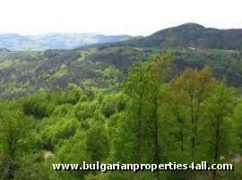 Property Description