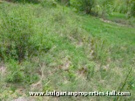 Property Description