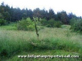 Property Description
