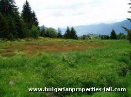Property Description