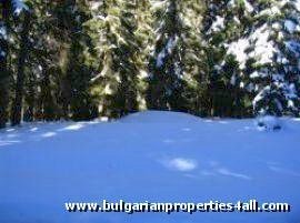 Property Description