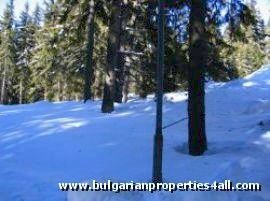 Property Description