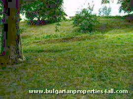 Property Description