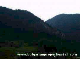 Property Description