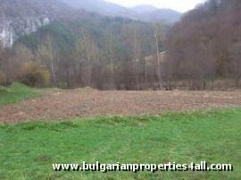 Property Description