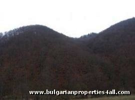 Property Description