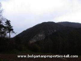 Property Description